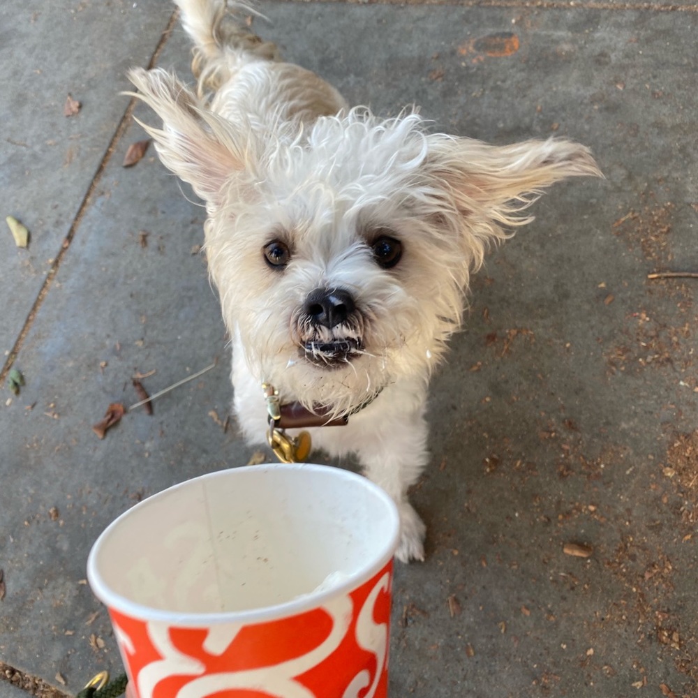 Meet your Posher, Diego